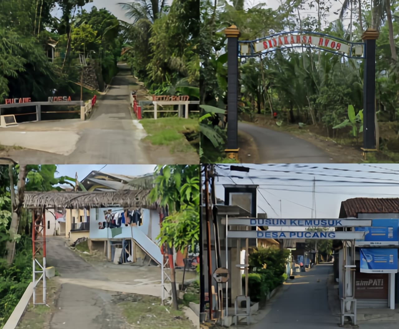 Foto Desa